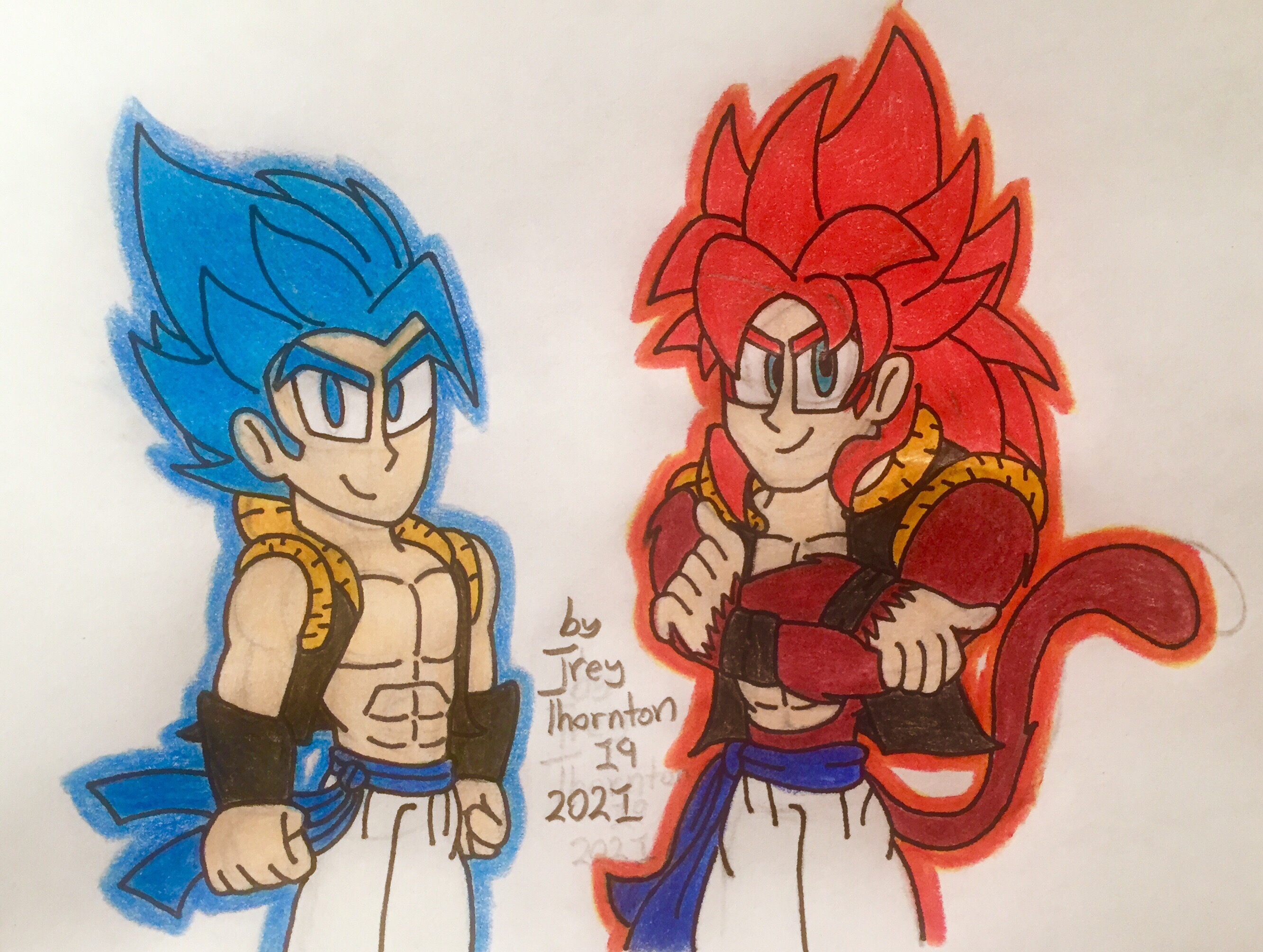 SSJ4 Gogeta and SSB Vegito by greyfuku : r/dbz