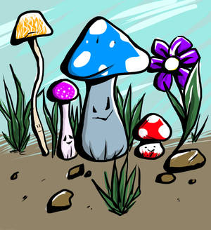 Mushroom patch?