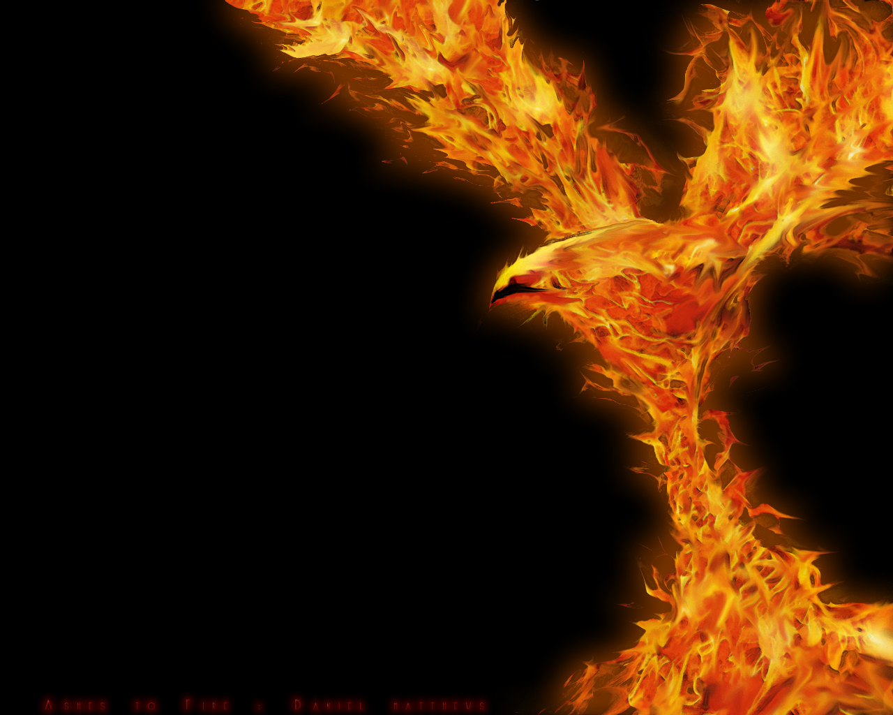 Phoenix Ashes To Fire By Spud3 On Deviantart