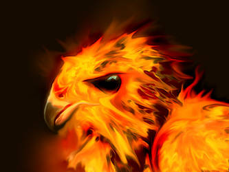 Phoenix - 'Burning mane'