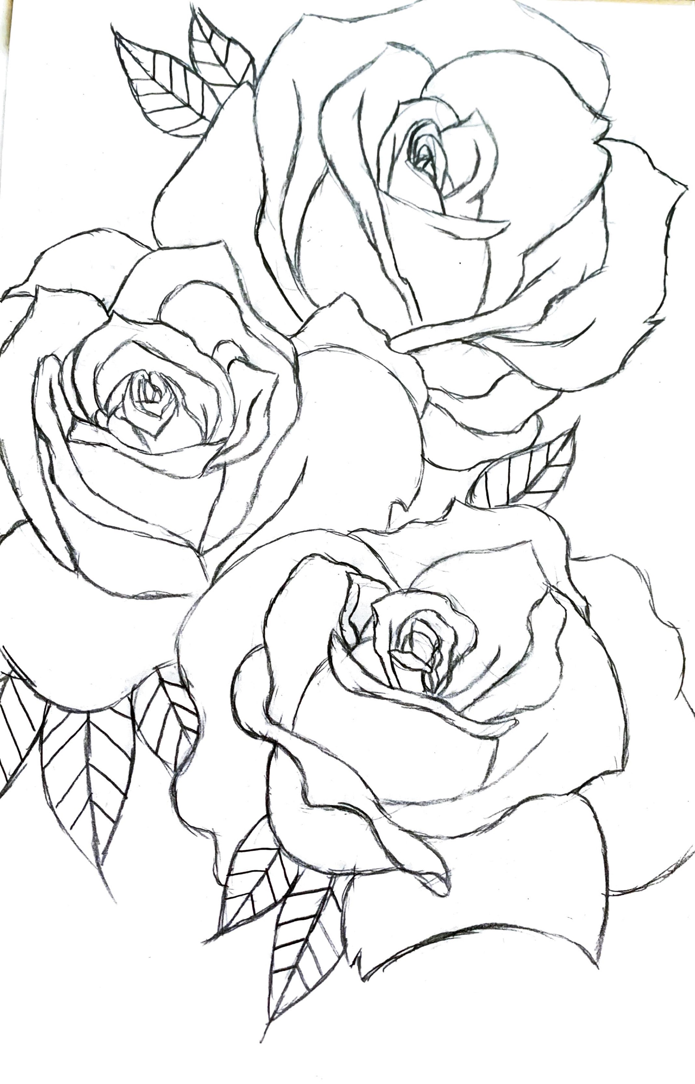Three Roses Sketh 3 roses pencil sketch by dark-knightmare on DeviantArt