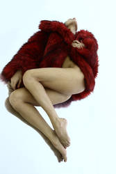 Red-fur2