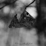 Withered Cradle. by OliviaMichalski