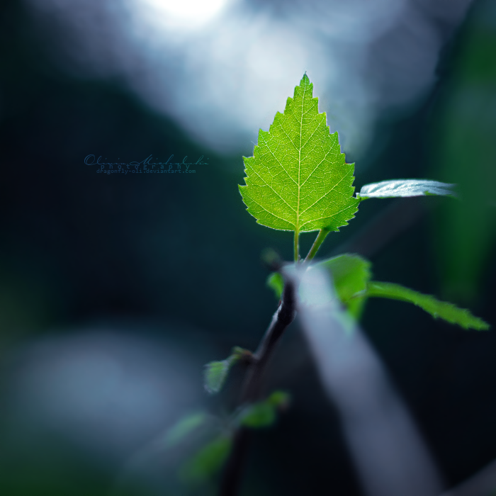 Against the wind.