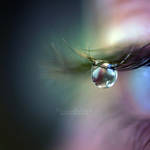 Tears of a Fairy. by OliviaMichalski