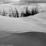 Belgium - Dune