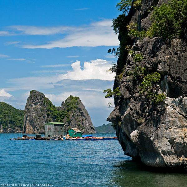 Vietnam | Halong Bay