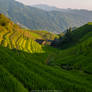 China - Terraces