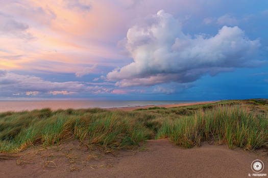 Sand Dunes Magic | Belgium