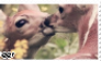 Deer|Stamp