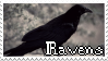 Ravens|Stamp