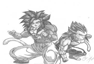 SS4 Goku and Vegeta