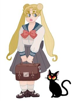 I'm Usagi Tsukina, 14 Years Old