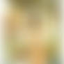 Cavewoman_nude