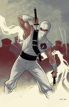 Storm Shadow