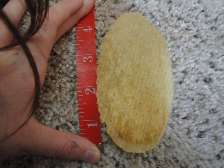 big chip by kksldrluvmi on DeviantArt