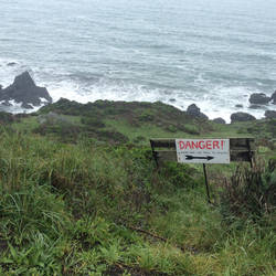 Danger! Crashing Waves Ahead!