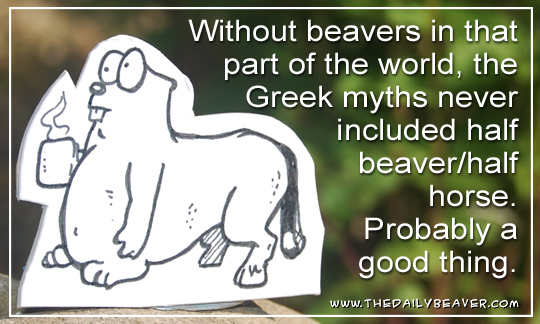 Daily Beaver - Hippobeaver