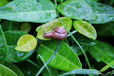 Happy when it rains