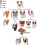 Family Tree Adopts