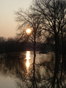 Die Theiss bei Sonnenuntergang