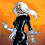 Black Cat Colour