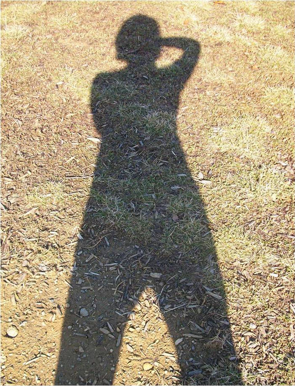 Shadow ID by MidnaGirl on DeviantArt