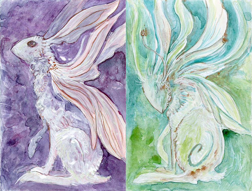 Fairy Rabbani Fairy Rabbits by shadowgirl on DeviantArt