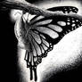 Scratchboard Butterfly