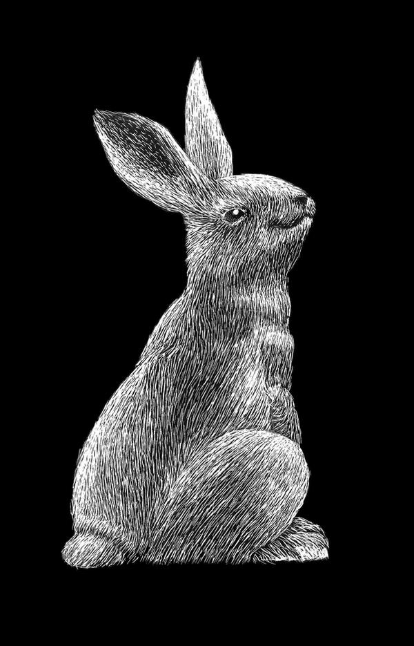 Scratchboard Rabbit Scratchboard Bunny by gigazelle on DeviantArt
