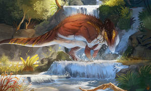 Personal Art - Acro falls