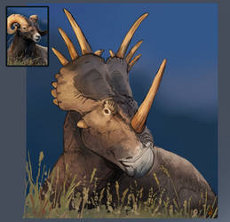 Personal art - Styracosaurus