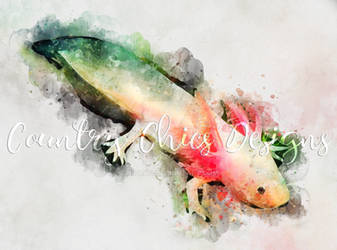 Watercolor Axolotl