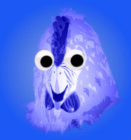 Blue chicken