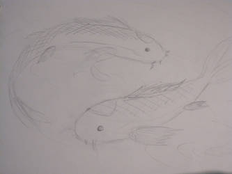 Fast Koi Fish Sketch