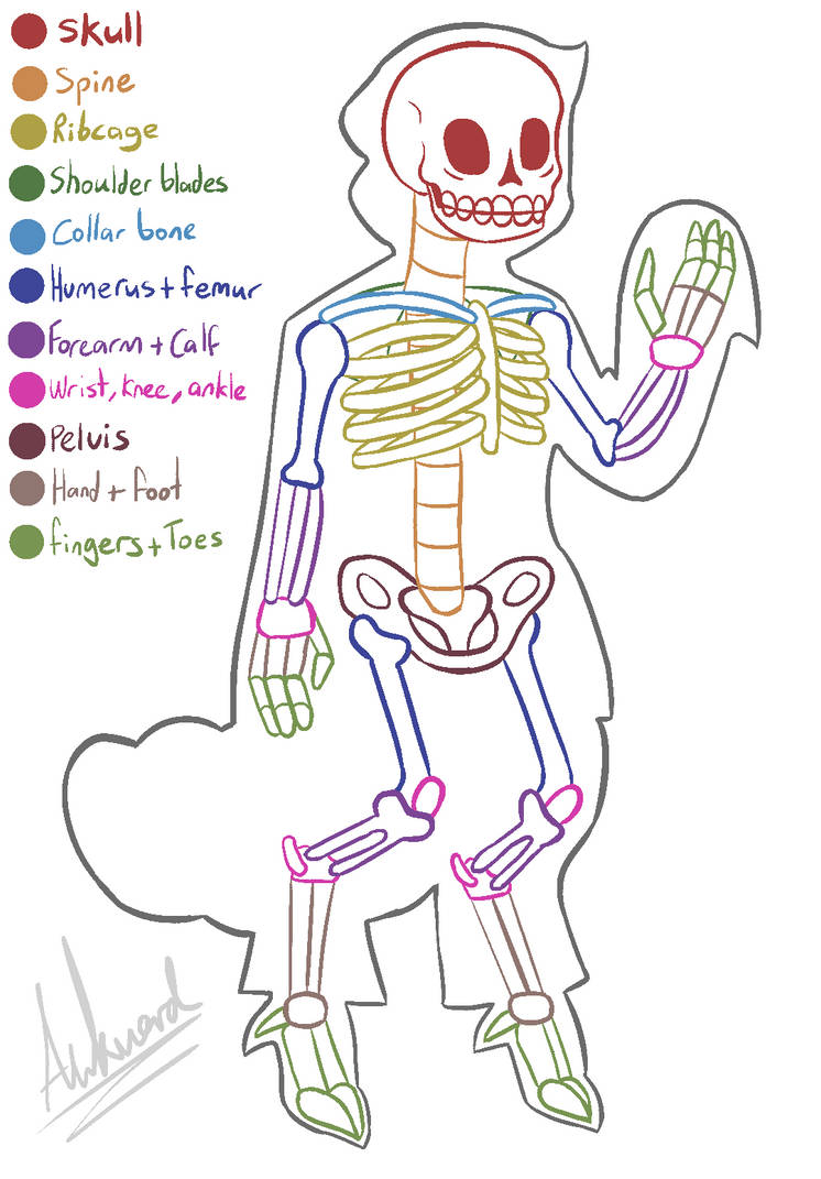 OC - Anon's skeleton by IndoorsCat on DeviantArt