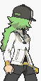 Pokemon N Back Sprite