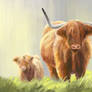 Heilan Coo