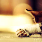 Mini paw ... by aoao2