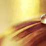 Golden droplet ...