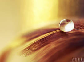 Golden droplet ...