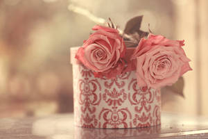 Vintage roses ...