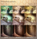 Autumn Photoshop Actions by aoao2