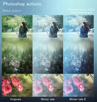 Winter Photoshop Actions