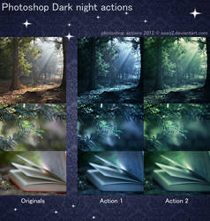 Photoshop Dark night actions