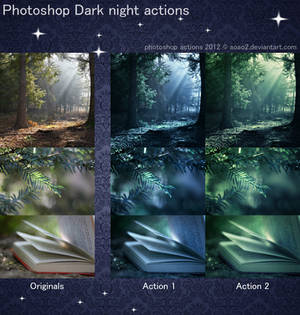 Photoshop Dark night actions