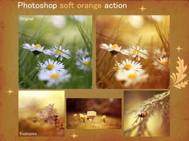 Photoshop soft orange action