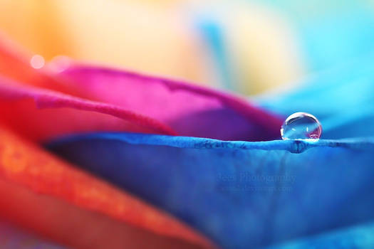 Rainbow droplet