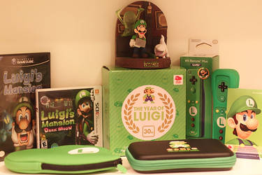 The Year Of Luigi