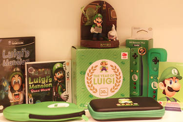 The Year Of Luigi